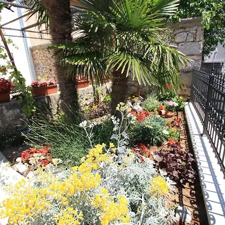 Brnic 2 Ядраново